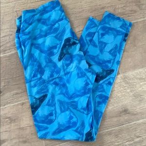Blue chihuahua print leggings super soft
